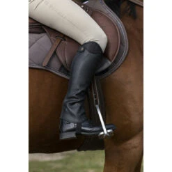 Norton Half Chaps Glitter -Equestrian Equipment Shop 0013462 norton half chaps glitter
