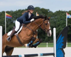 QHP Competition Jacket Noven Navy -Equestrian Equipment Shop 0020048 qhp competition jacket noven navy