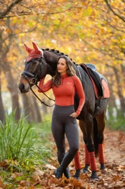 Le Mieux Winter Pull On Breech Liquorice -Equestrian Equipment Shop 0023457 le mieux winter pull on breech liquorice