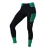 Dublin Power Performance Mid Rise Colour Block Tights Black/Emerald 2 Dublin Power Performance Mid Rise Colour Block Tights Black/Emerald -Equestrian Equipment Shop 0024270 dublin power performance mid rise colour block tights blackemerald 600