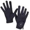 QHP Force Winter Glove Black -Equestrian Equipment Shop 0024300 qhp force winter glove black 600