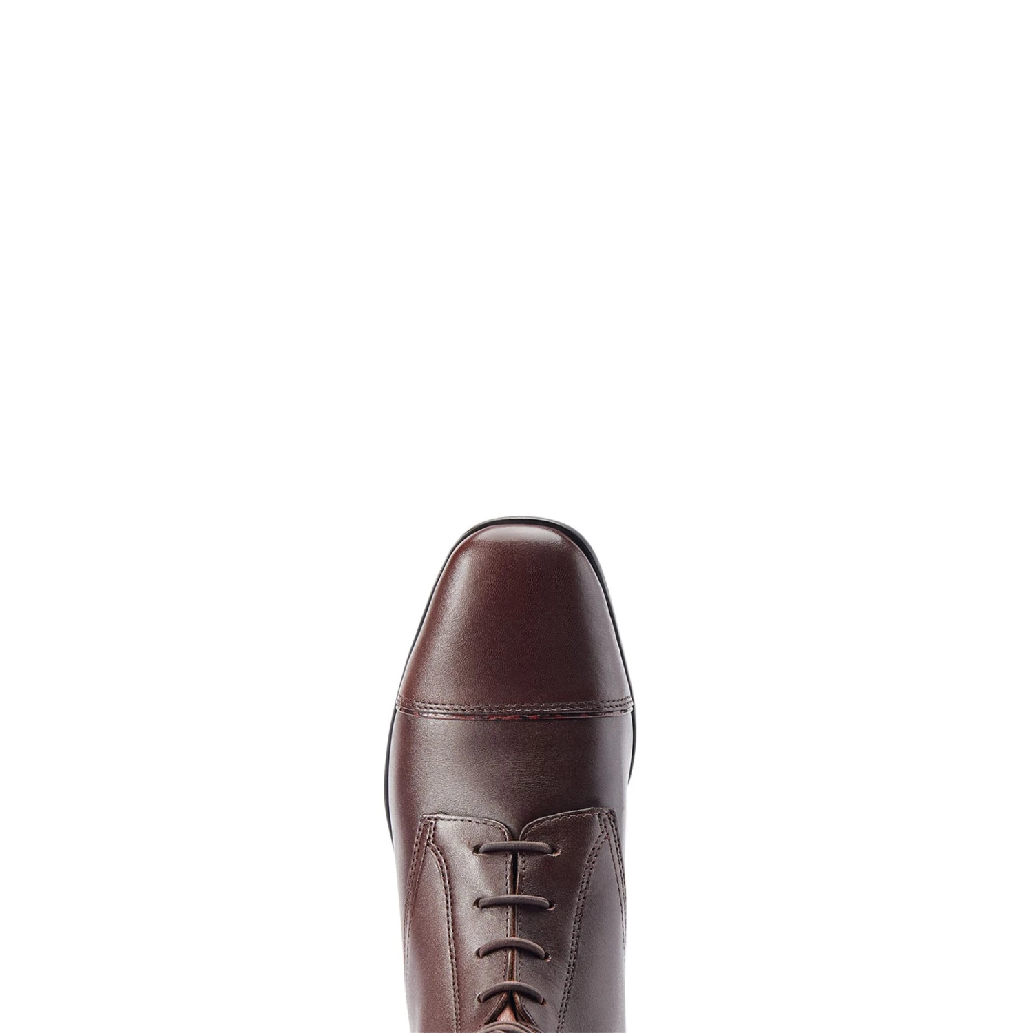 Ariat Womens Palisade Ellipse Tall Riding Boot Mahogany/Rust Cobra 8 Ariat Womens Palisade Ellipse Tall Riding Boot Mahogany/Rust Cobra - Image 6